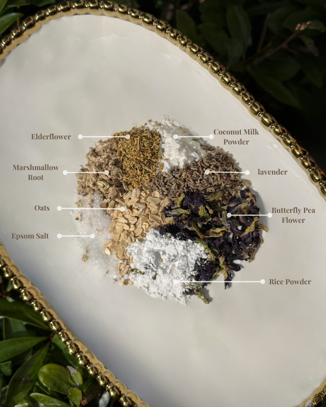 Lunar Stillness – Deep Rest & Calm
