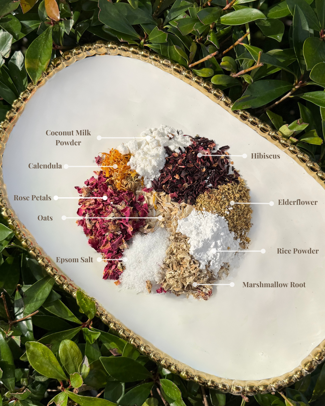 Velvet Springs – Nourishment & Softness